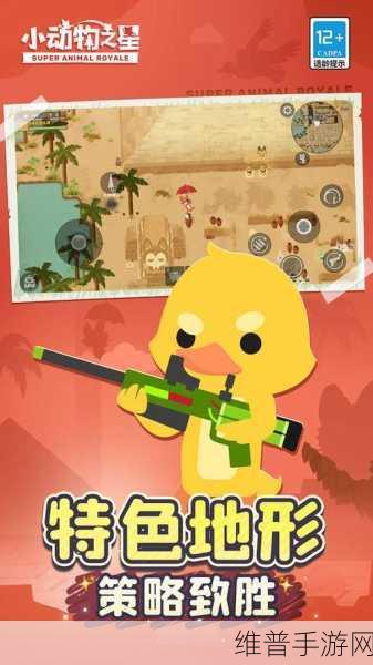 小动物之星操作秘籍大公开