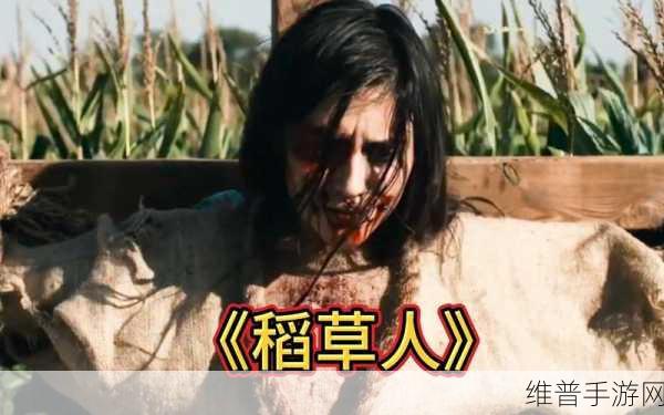 魔力时代恐怖稻草人角色深度解析及资源管理高效策略