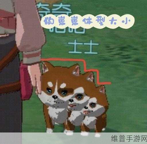 小森生活狗狗背包购买与使用全攻略