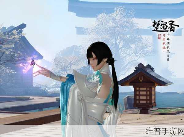 楚留香手游攻略,解决卡住无法移动与被空气墙挡住问题