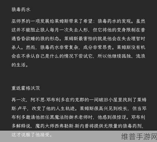 深入解析哈利波特巫师灵魂系统