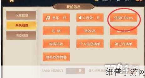 中国式网游礼包码兑换全攻略，手游公司视角的详尽指南
