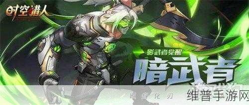时空猎人暗武者核心优选及资源管理深度策略