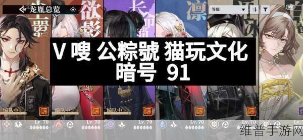 归龙潮自选五星角色深度解析,策略与选择的艺术