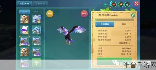 创造与魔法，利刃云鹰与云鹰全解析
