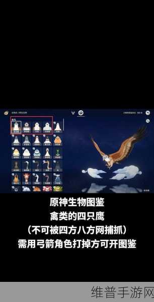 原神中具有翅膀结构的敌人全解析