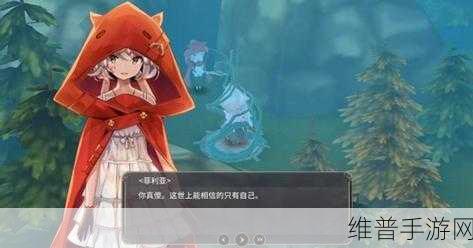 魔女之泉3，武器强化秘籍与选择攻略深度解析