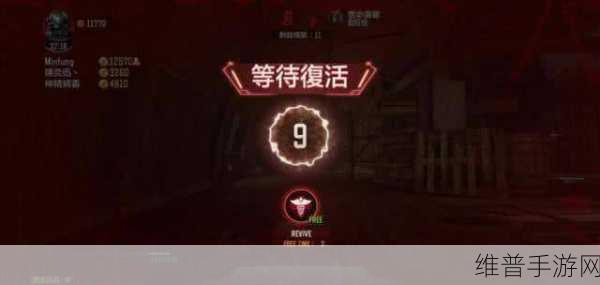使命召唤梦幻宝石使用攻略，全面剖析宝石功能与实战策略