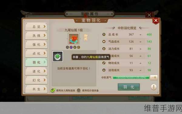 问道手游，杜绝私 SF 网站广告干扰的全方位指南