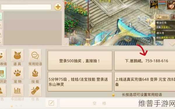 问道手游，杜绝私 SF 网站广告干扰的全方位指南