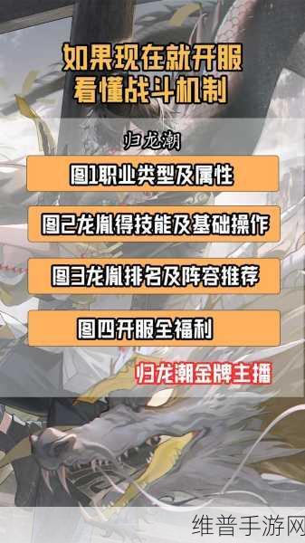 归龙潮官服与渠道服的深度剖析