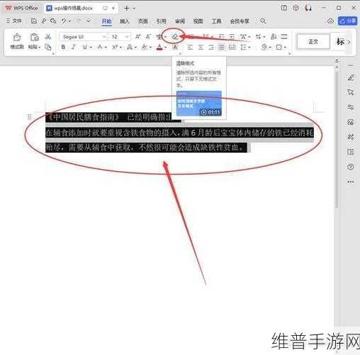 WPS字体横竖转换教程，手游公司打造个性化攻略秘籍