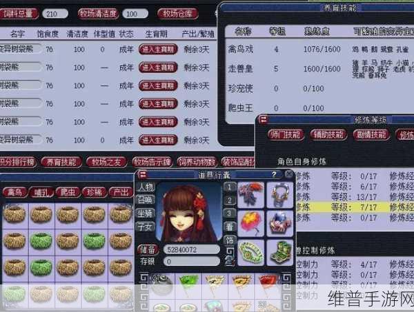 梦幻西游网易支付实名认证难题破解指南