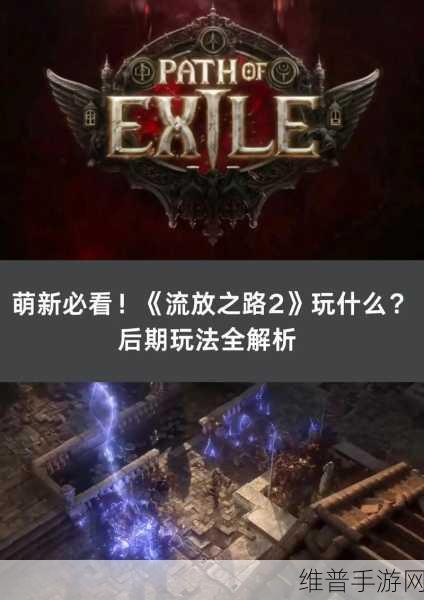 流放之路国际服深度攻略，解锁游戏乐趣的全方位指南