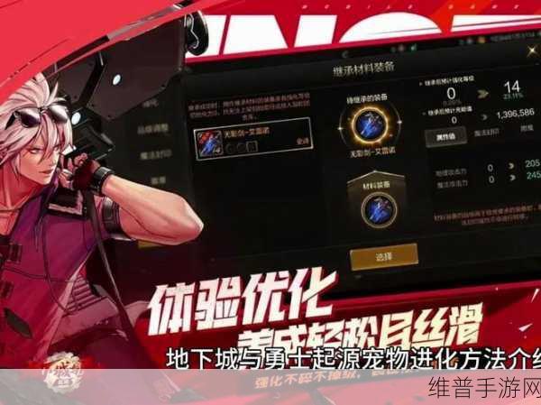 地下城与勇士起源，宠物进化深度攻略