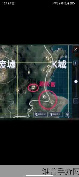 和平精英攻略，揭秘安保芯片获取位置与策略