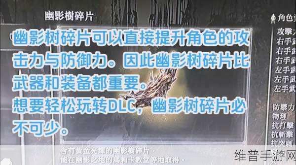 艾尔登法环Steam配置全面升级，详解更新内容与优化细节