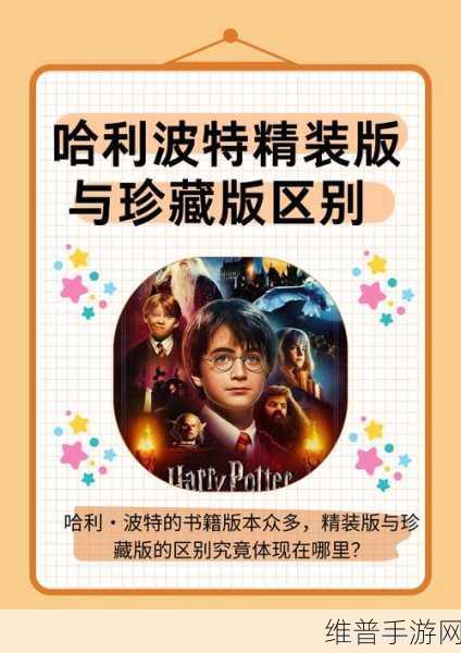 哈利波特,魔法觉醒43学年完全攻略——通关秘籍与技巧详解