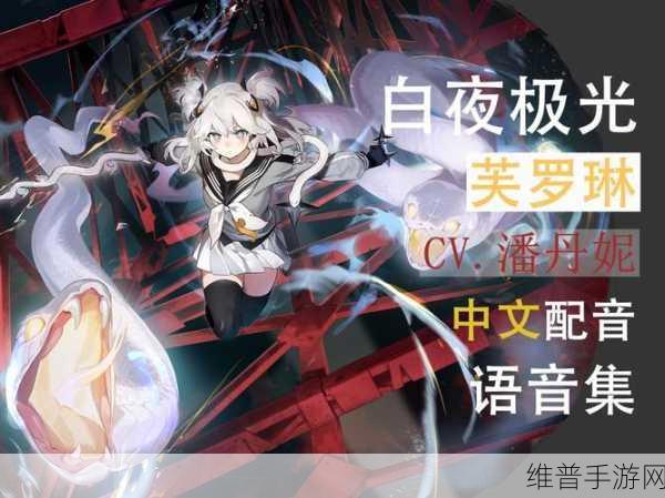 白夜极光深度攻略，副属性作用全面解析