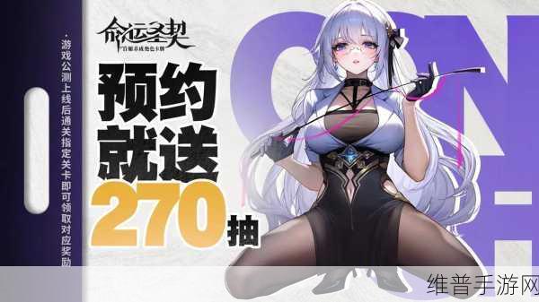 命运圣契手机版全面攻略，揭秘游戏亮点与玩法技巧