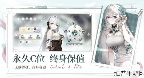 命运圣契手机版全面攻略,揭秘游戏亮点与玩法技巧