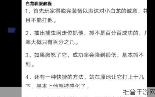 泰拉瑞亚探索之旅,揭秘小白龙的刷新机制