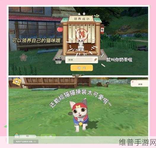 小森生活极速收割秘籍，掌握高效技巧，畅享田园乐趣
