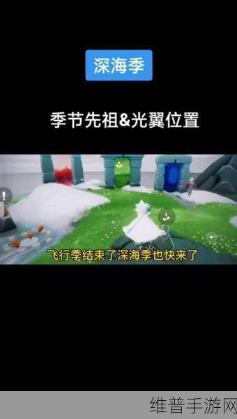 光遇探险指南，全面解析藏宝岛礁任务攻略