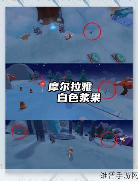 摩尔庄园手游攻略，全面解析精灵等级分布与捕捉指南