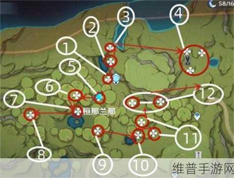原神帕蒂沙兰高效采集路线图详解
