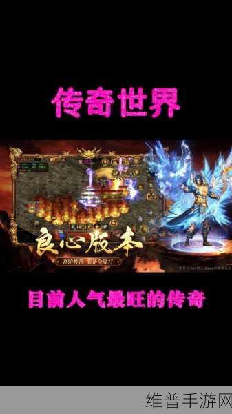 鸿之微闪耀2024，荣登上海最具投资潜力50佳，手游攻略数据深度解析