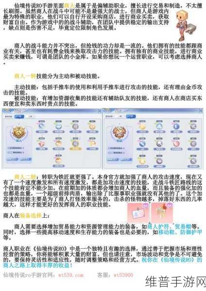 宝藏世界职业攻略，新手玩家如何做出明智选择