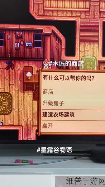 星露谷物语，详解干草喂养小鸡的全方位攻略