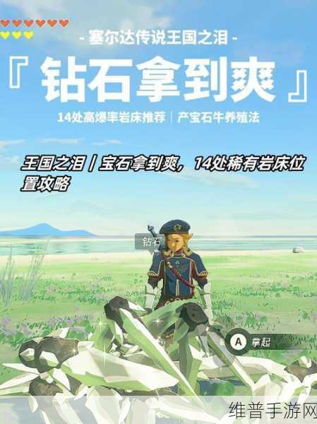 塞尔达传说王国之泪武器格数提升攻略，克洛格的果实与伯库林的秘密