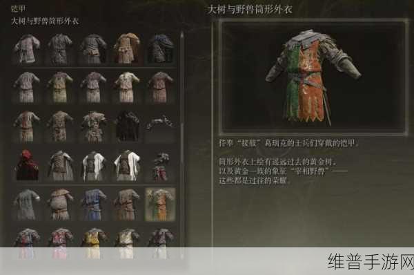 艾尔登法环全防具套装获取方法深度解析