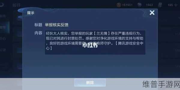 王者荣耀转移号安全攻略，如何避免封号风险