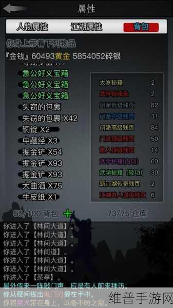 放置江湖一转属性点全攻略，打造你的江湖传奇