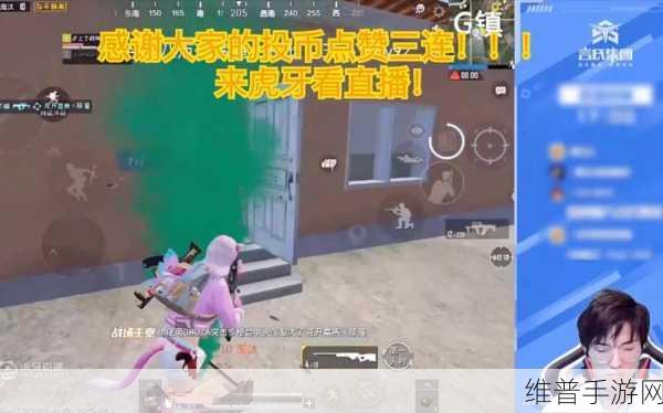 和平精英高手难言，揭秘其直播平台与游戏攻略
