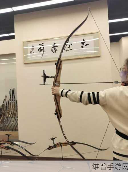 武林外传手游弓箭手技能搭配全攻略