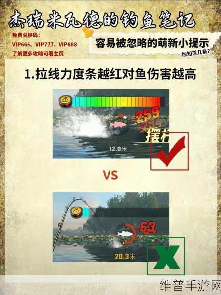 欢乐钓鱼大师全面攻略，如何高效提升P值