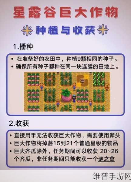 星露谷物语温室种植指南，解锁高效收益作物选择