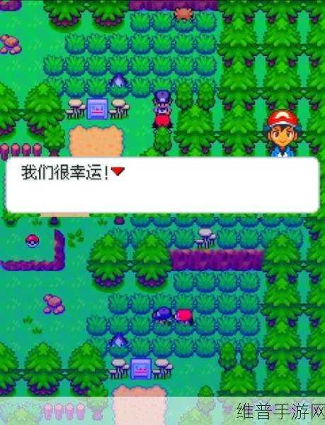 口袋妖怪白2深度攻略,揭秘白色树洞第八层的奇幻之旅