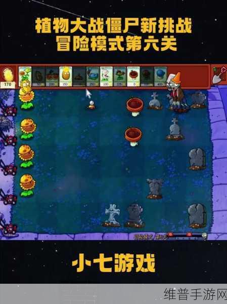 植物大战僵尸2卡牌纷争第6关深度攻略，解锁胜利的关键策略