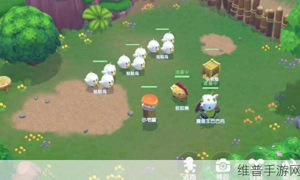摩尔庄园手游，全面解析动物管理位置与养殖攻略