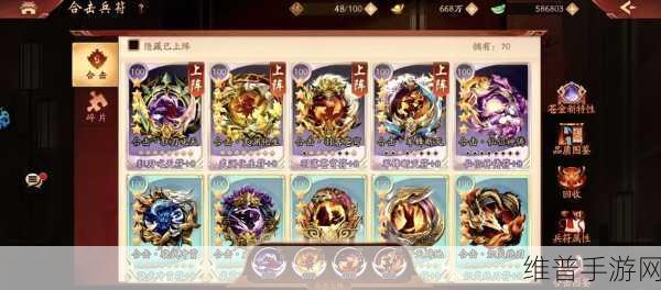 少年三国志2宝物强化全攻略，解锁宝物强化技巧的深度分享