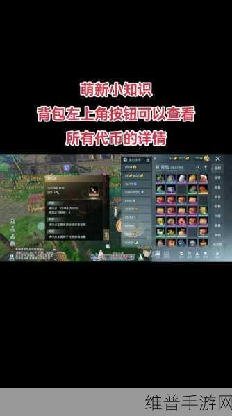 剑网3手游深度攻略，无界武学助手设置全解析