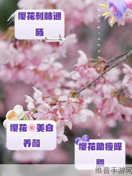 天天爱消除深度攻略，樱花树开花方法与技巧详解