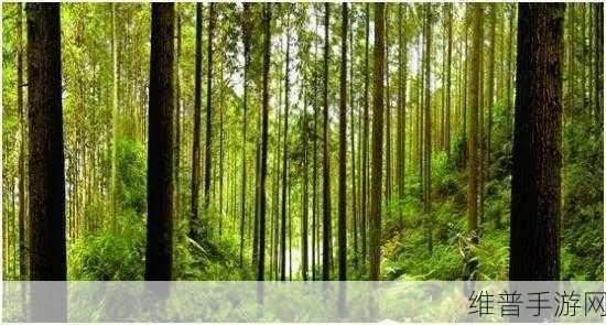 绿电转型新纪元，手游界探索——联盛新能源与阳光电源共绘的绿色未来攻略