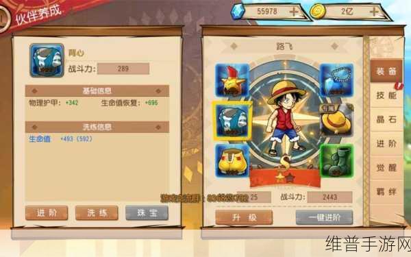 航海王启航路飞晶石搭配深度解析与实战策略