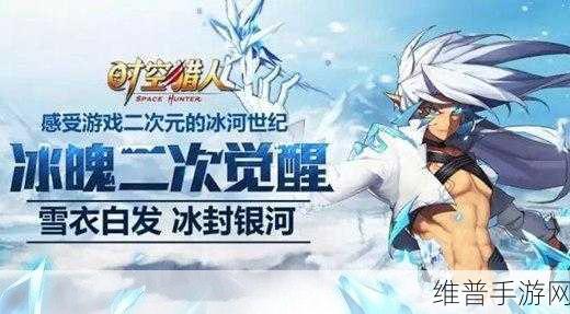 时空猎人冰魄觉醒技能搭配深度攻略